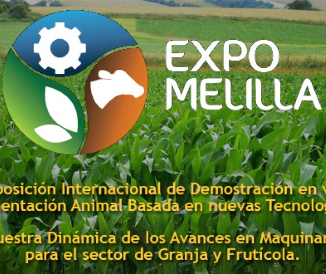 expo-melilla-2015